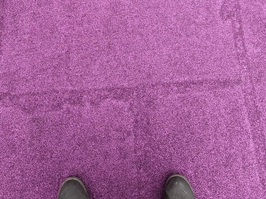 Schuhe stehen auf einem lila Teppich